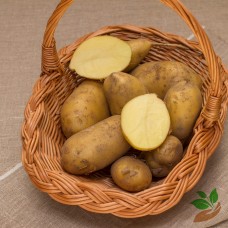 Ziemniaki żółte EKO