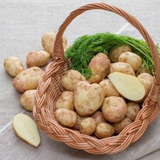 Ziemniaki białe EKO