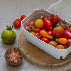 Pomidory koktajlowe EKO