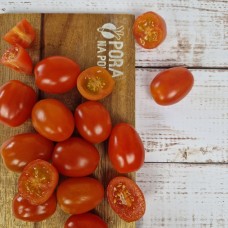 Pomidor koktajlowy EKO