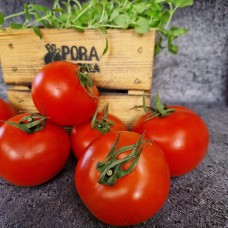 Pomidor okrągły czerwony EKO